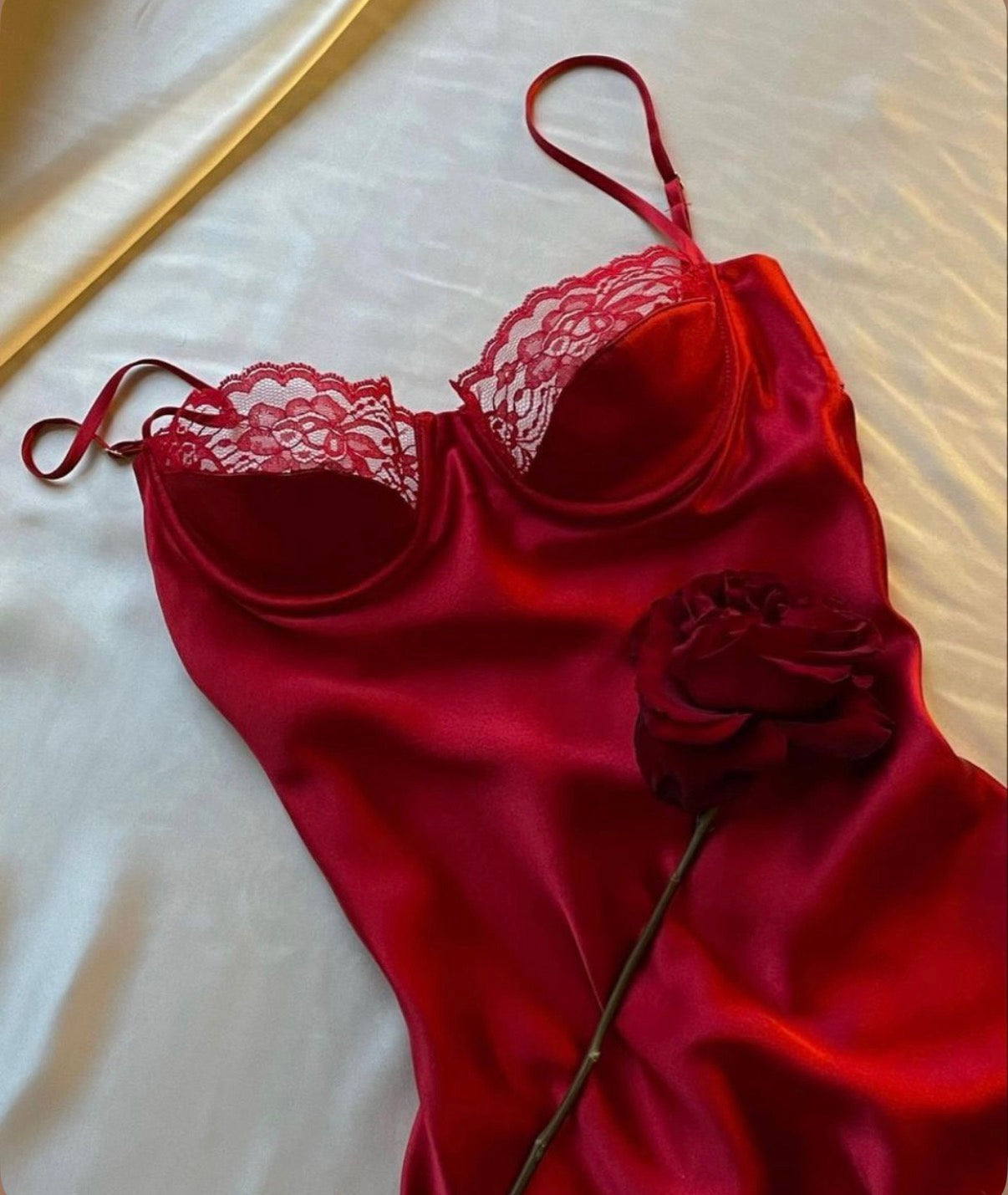 Découvrir la collection